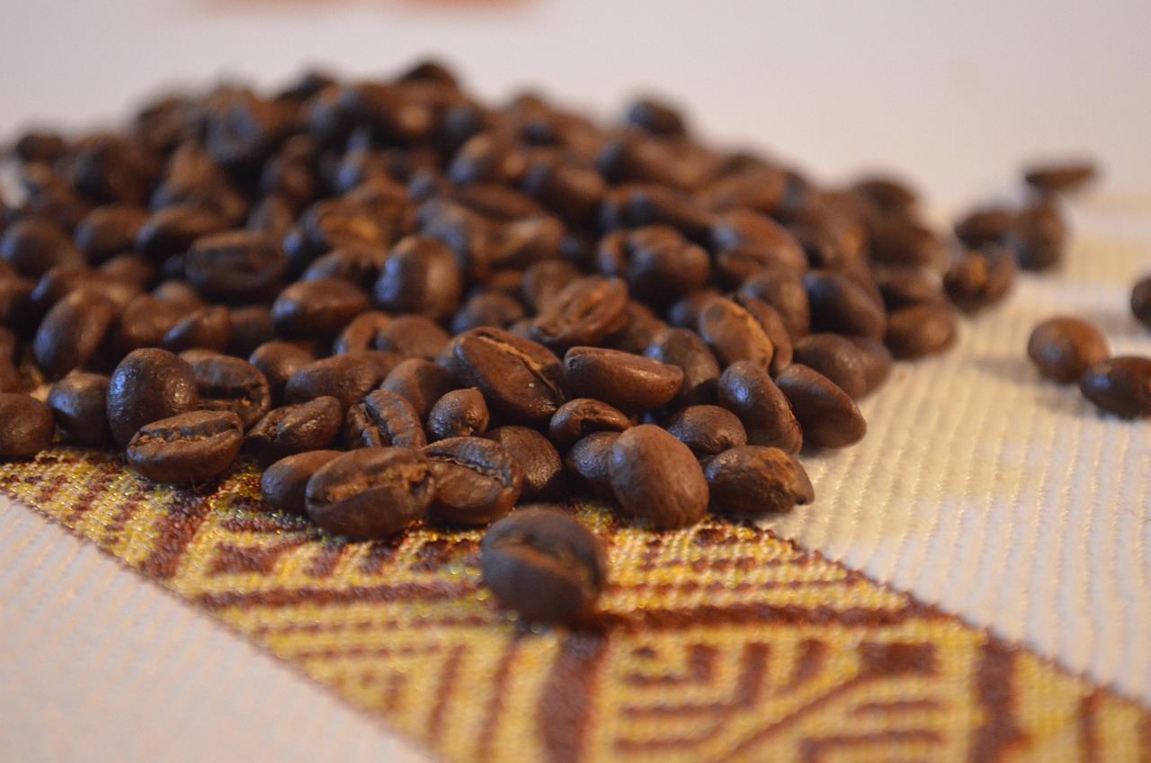 Ethiopian coffee forest